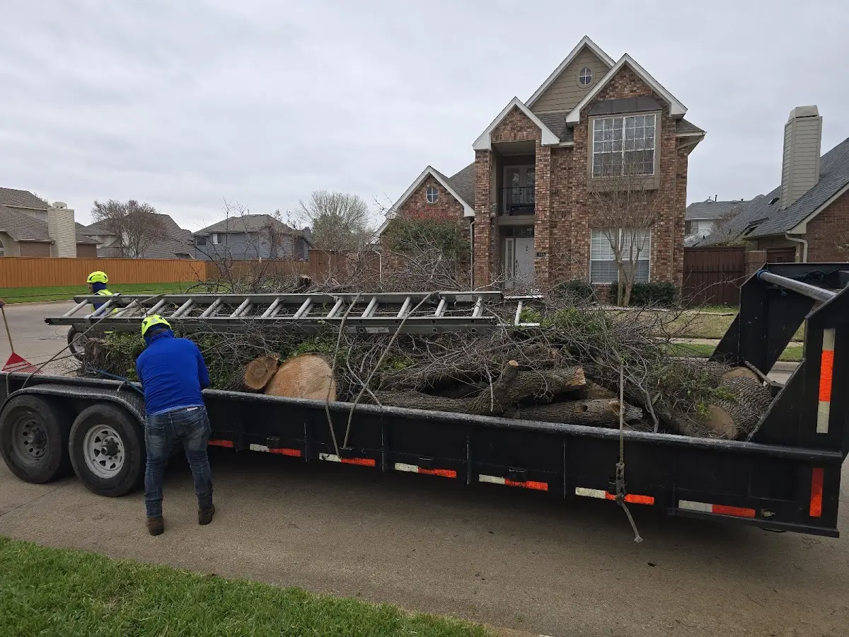 Expert Lot Clearing with proper safety equipment in Rives Junction
